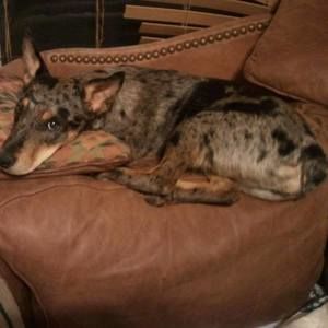 Meet your Posher, Colton